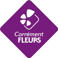 mbc-elearning-formation-retail-logo-carrement-fleurs
